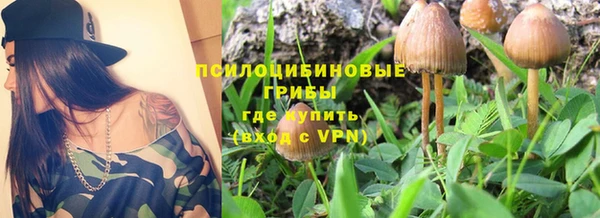 mix Армянск